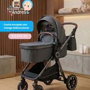 Coche Europeo con Mango Bidireccional